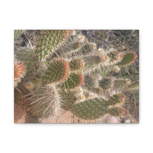 Stylish Cactus Canvas Print, Nature Wall Art, Home Decor, Gift for Plant Lovers, Bohemian Style Artwork, Desert Wall Decor